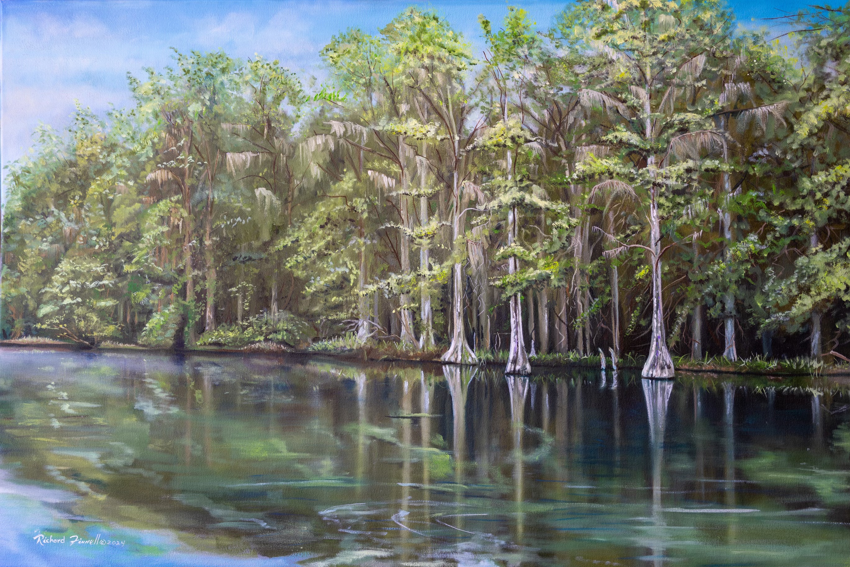 Bald Cypress, Florida River oil 24x36